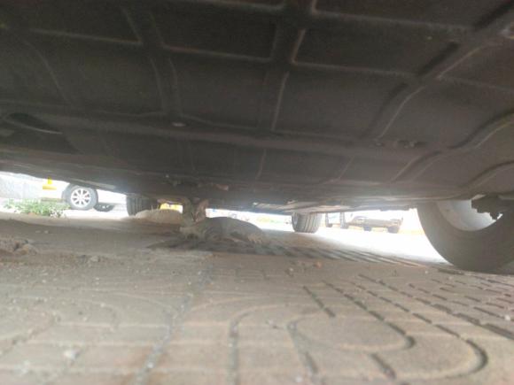 [济南·鲁A] 二手吉利汽车博瑞GE新能源2018款 1.5T PHEV 耀享版