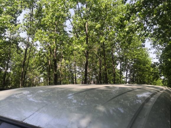 [南京·苏A] 二手金杯阁瑞斯2016款 2.0L快运舒适型