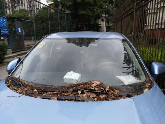 [上海·沪A] 二手理念理念VE-12021款 出行版