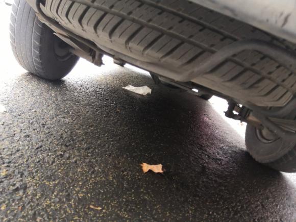 [南京·苏A] 二手东南得利卡2008款 2.0L新创业先锋实用型