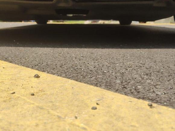 [武汉·鄂A] 二手福特福克斯2011款 两厢 1.8L 自动时尚型