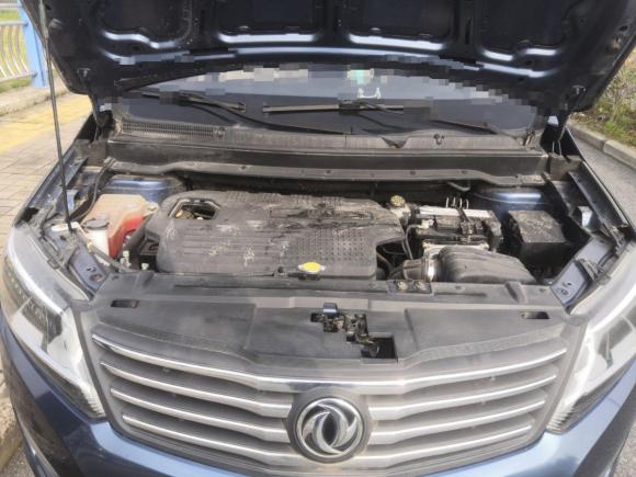 [合肥·皖A] 二手东风风行风行S5002016款 1.6L 手动尊享型