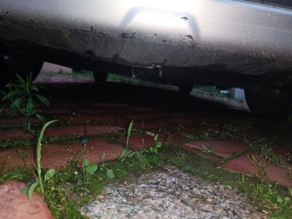 [青岛·冀R] 二手启辰启辰R50X2013款 1.6L 自动版