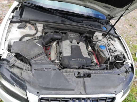 [温州·浙C] 二手奥迪奥迪S52010款 S5 3.0T Sportback