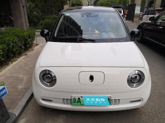 [北京·京A] 二手欧拉欧拉R12019款 351km 灵智版