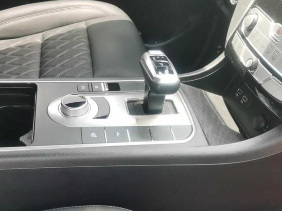 [芜湖·皖G] 二手长城炮2019款 2.0T自动汽油四驱舒适版GW4C20B