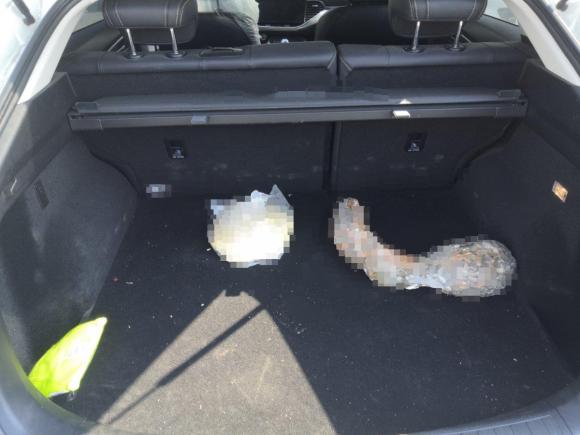 [青岛·鲁U] 二手哈弗哈弗F7x2021款 1.5T 两驱极智科技版