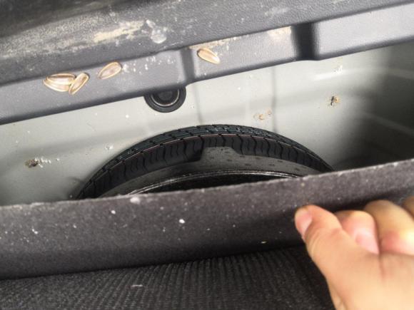 [成都·川A] 二手启辰启辰D602018款 1.6L 手动智联精英版