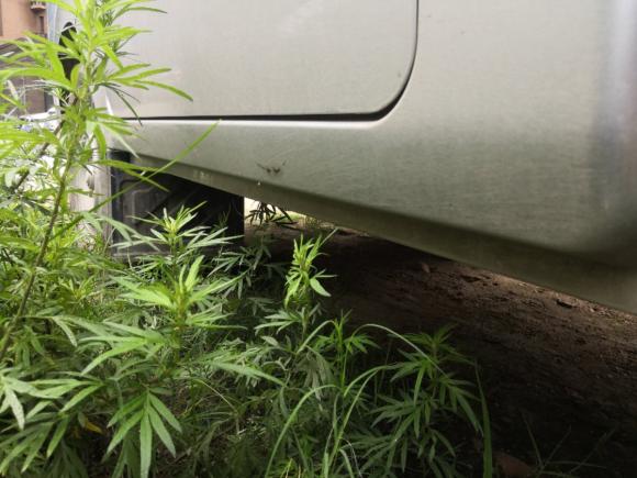 [武汉·鄂A] 二手福田祥菱M2018款 1.2L半承载双排后单胎(载货)4W12M1