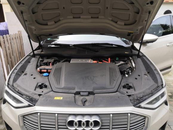 [成都·川A] 二手奥迪奥迪e-tron2019款 55 quattro 技术型