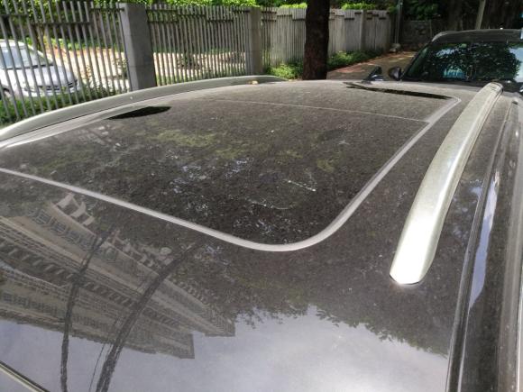 [广州·粤A] 二手宝沃宝沃BX52017款 20TGDI 自动两驱先锋型