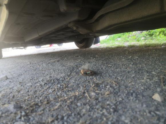 [台州·浙J] 二手北汽新能源EC系列2017款 EC180 灵动版