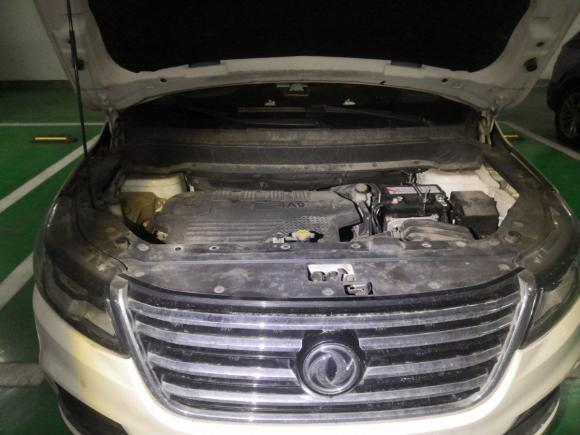 [苏州·苏U] 二手东风风行风行SX62016款 1.6L CVT尊享型