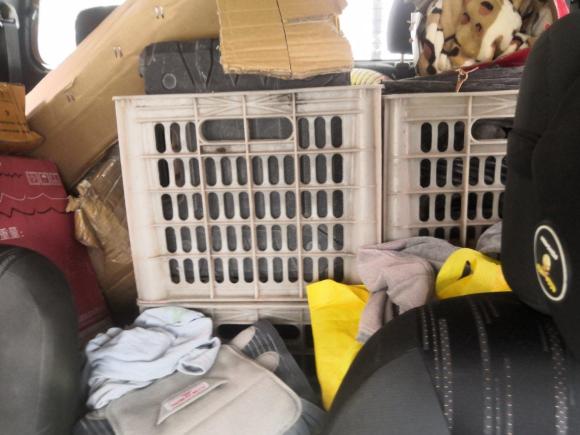 [南昌·赣A] 二手五十铃瑞迈2018款 2.8T经典版四驱豪华款JE493ZLQ5F