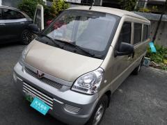 [上海·沪A]五菱汽车&nbsp;&nbsp;五菱荣光EV&nbsp;&nbsp;2020款客车版基本型7座300KM