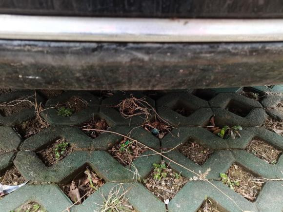 [南京·苏A] 二手林肯林肯大陆2018款 2.0T 两驱尊享版