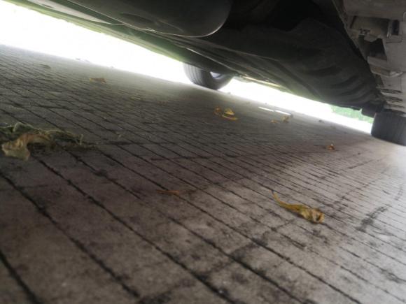 [佛山·粤E] 二手林肯林肯大陆2017款 2.0T 两驱尊耀版