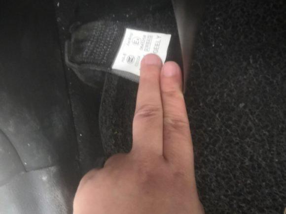 [南昌·赣A] 二手吉利汽车帝豪EV2019款 EV500 进取型标准续航版