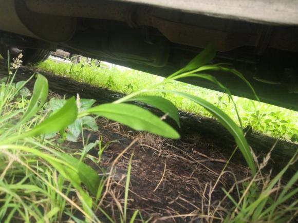 [杭州·浙J] 二手东风风行风行CM72014款 2.0T 手动尊享型