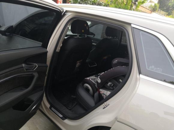 [成都·川A] 二手奥迪奥迪e-tron2019款 55 quattro 技术型