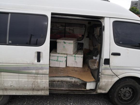 [嘉兴·豫C] 二手金杯金杯海狮2014款 2.0L第五代快运王商务型4G21B