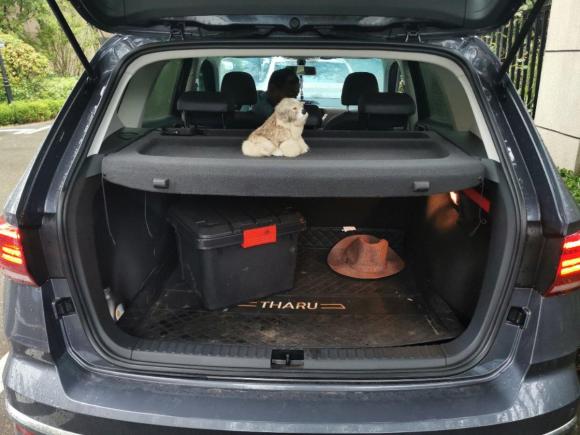 [青岛·鲁B] 二手大众途岳2020款 改款 330TSI 四驱豪华版PLUS 国VI