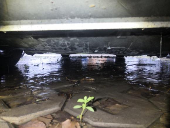 [合肥·皖A] 二手大众夏朗2013款 1.8TSI 标配型