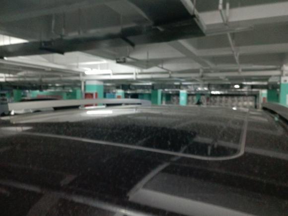 [南昌·赣A] 二手哈弗哈弗大狗2021款 1.5T DCT两驱边牧-旺财版