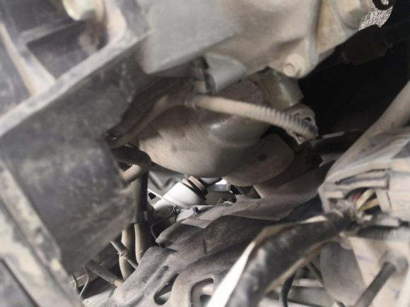 [青岛·鲁U] 二手启辰启辰M50V2017款 1.5L XL 手动舒适版