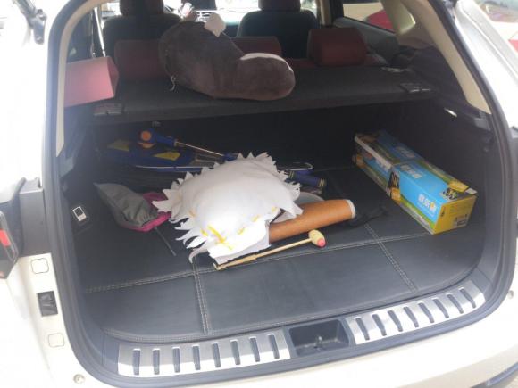 [义乌·浙G] 二手雷克萨斯雷克萨斯NX2017款 300 前驱 锋行版