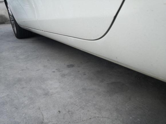 [上海·沪C] 二手菲亚特博悦2011款 1.4T AMT舒适版