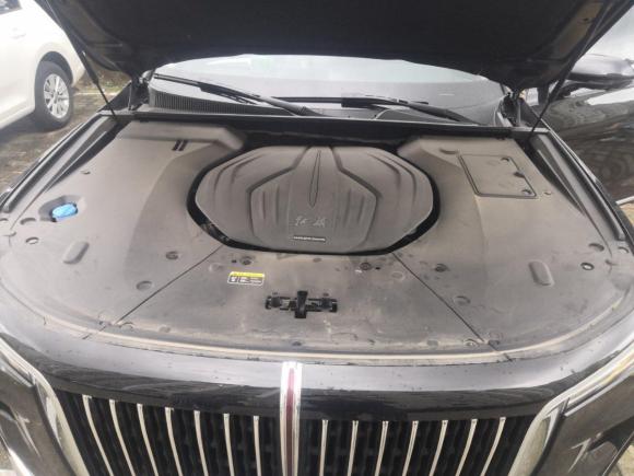 [青岛·鲁U] 二手红旗红旗H92020款 2.0T 智联旗享版