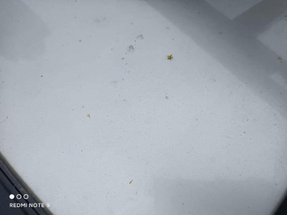 [武汉·桂A] 二手东风风度东风风度MX62016款 2.0L 手动两驱领航版