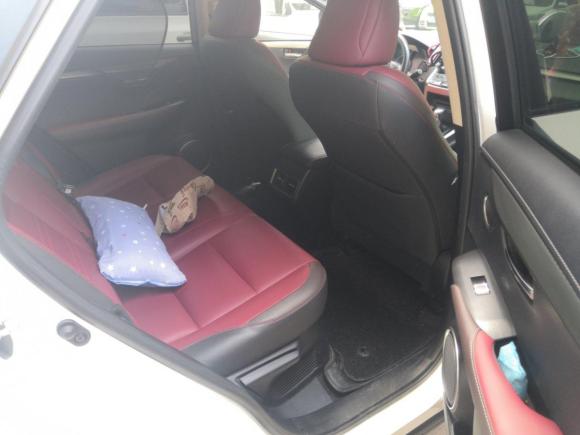 [义乌·浙G] 二手雷克萨斯雷克萨斯NX2017款 300 前驱 锋行版