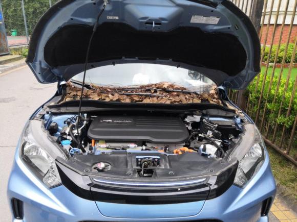 [上海·沪A] 二手理念理念VE-12021款 出行版