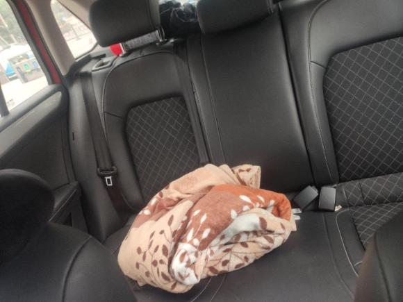 [南昌·赣A] 二手斯柯达昕动2019款 1.5L 手动舒适版