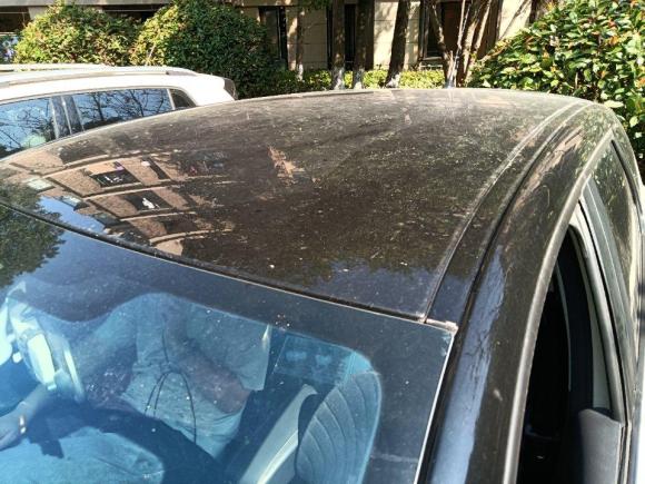 [杭州·京Q] 二手雷诺卡缤2015款 1.2T 自动舒适版