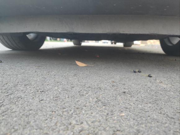 [义乌·浙G] 二手雪佛兰迈锐宝XL2019款 Redline 550T 自动锐联版