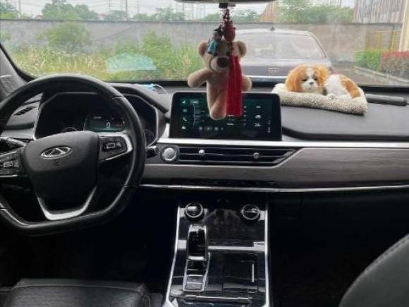 [金华·浙G] 二手奇瑞瑞虎82019款 1.6TGDI 自动豪华型