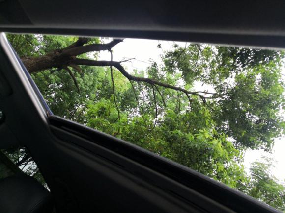 [上海·沪C] 二手马自达马自达62007款 轿跑 2.3L 自动型