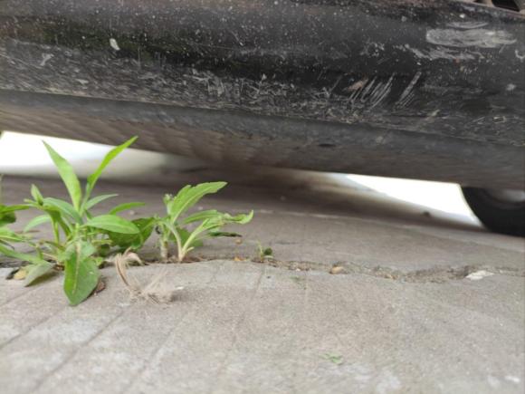 [温州·浙C] 二手奔驰奔驰CLS级2009款 CLS 300