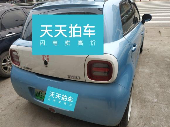 [义乌·浙G] 二手欧拉欧拉R12019款 351km 灵趣版