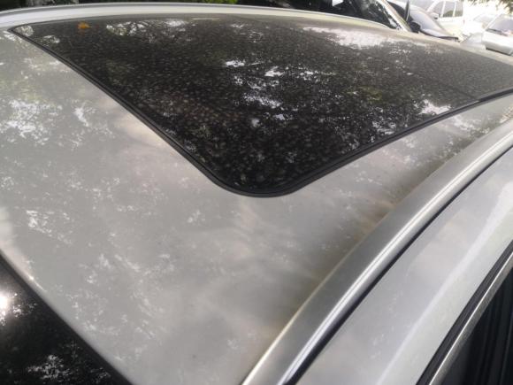 [无锡·苏B] 二手宝马宝马2系多功能旅行车2018款 220i 领先型