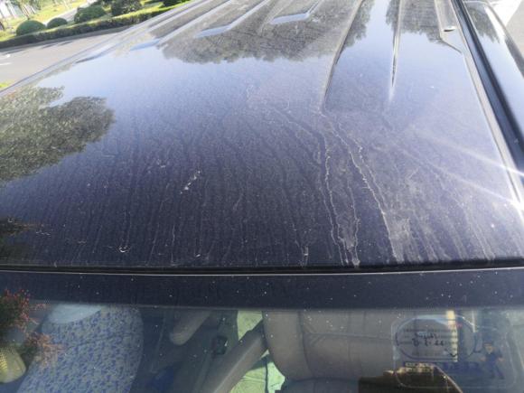 [常州·鄂A] 二手大众迈特威2008款 3.2L