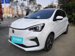 [武汉·鄂A]长安&nbsp;&nbsp;长安奔奔E-Star&nbsp;&nbsp;2020款心动版三元锂