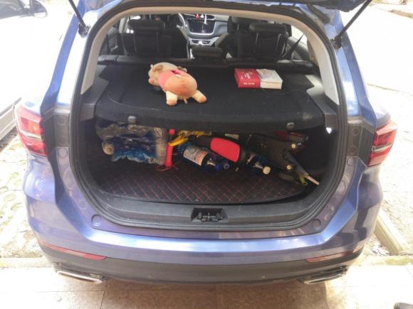 [武汉·鄂A] 二手斯威汽车SWM斯威G012018款 1.5T 自动智UP