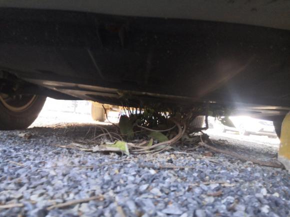 [南昌·赣A] 二手众泰大迈X52017款 超值版 1.6L 手动时尚型