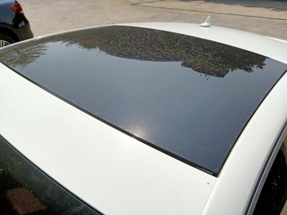 [佛山·粤X] 二手奥迪奥迪S52012款 S5 3.0T Coupe