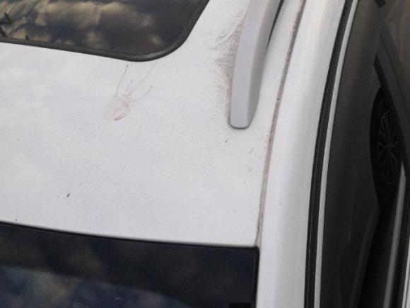 [温州·浙C] 二手荣威荣威Ei52019款 豪华版