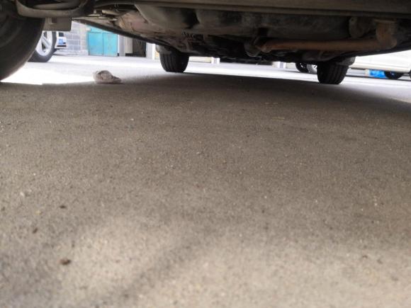 [嘉兴·浙G] 二手丰田雅力士2011款 1.6E 自动魅动版